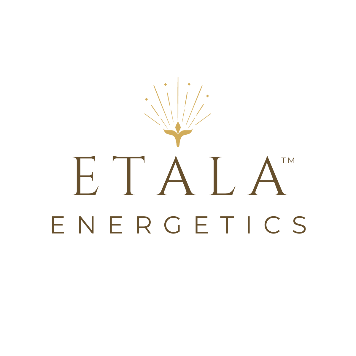 Etala Energy Group Healing Circle - Tythe Barn Horsham